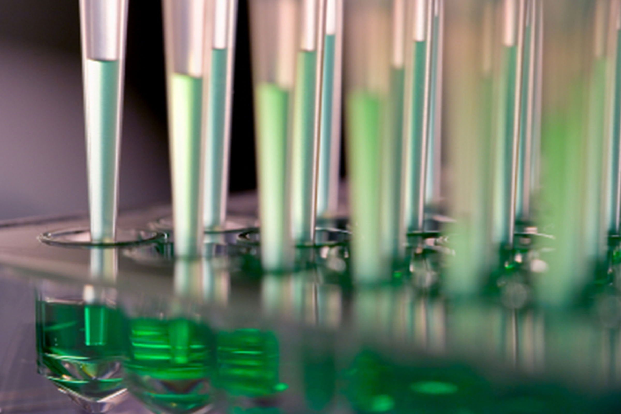 cirQum-cannabis-labor Nahaufnahme von mit grüner Flüssigkeit gefüllten Mikro-Pipettenspitzen, die in die Vertiefungen einer Miktrotiterplatte eintauchen.
