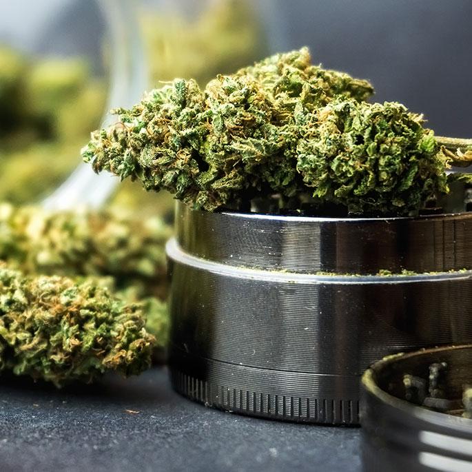 cirQum-cannabis Cannabisblüten in einer offenen Metalldose.